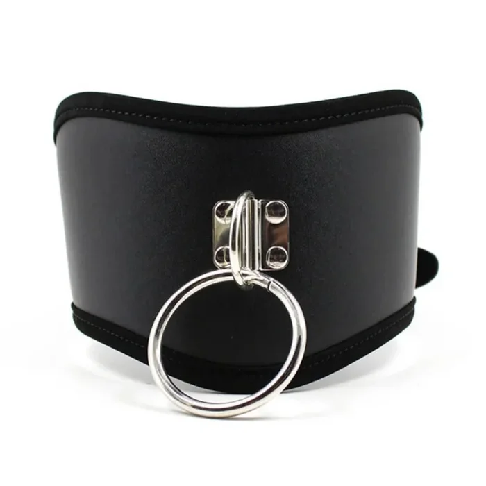 Ple’sur Posture Collar