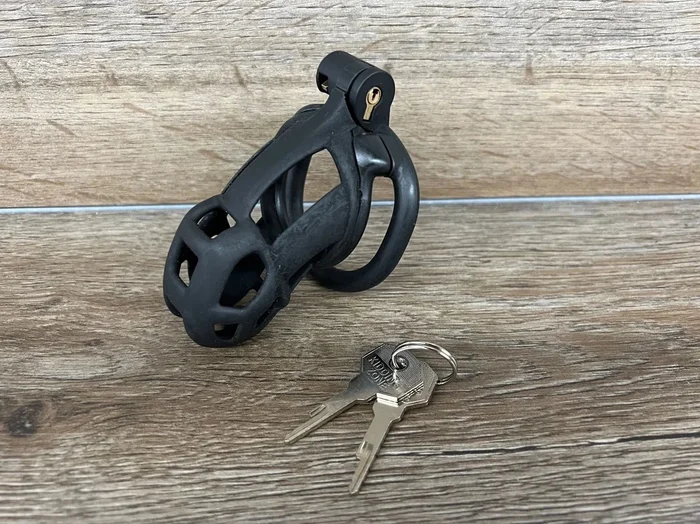 The Black Cobra Chastity Cock Cage – CBT Cuckold CBT Cock Ball BDSM Chastity Cage Belt 3D Printed